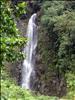 The Male, Trafalger Falls, Dominica